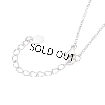 火拳のエース メモリアルネックレス