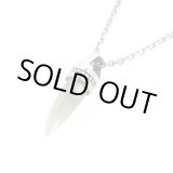 画像: 白牙をイメージしたシェルネックレス「white fang pendant」